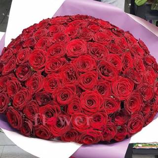 Роза гран при 