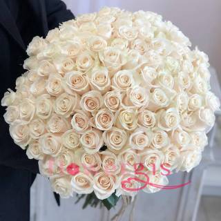 Роза эквадор